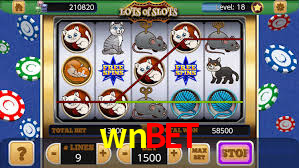 Programa VIP wnbet